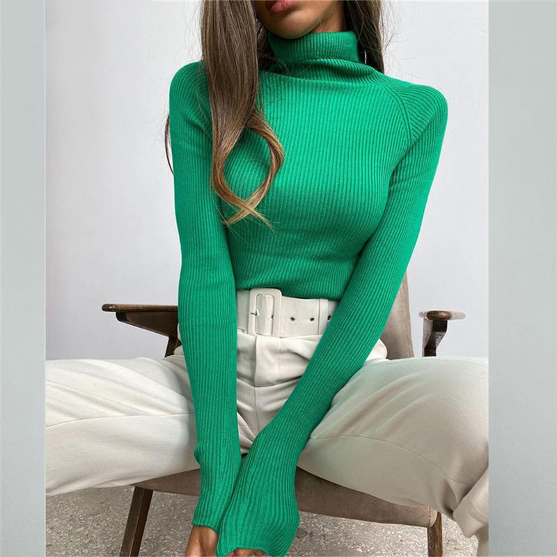 Mia’s slim fit turtleneck long sleeve sweater